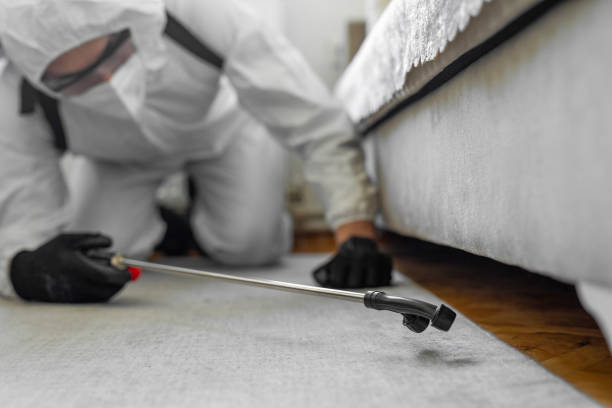 Professional Termite Control technician working in Ada, MN