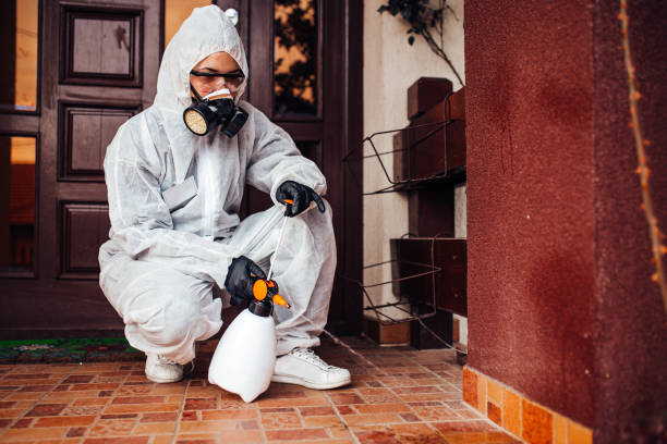 Reliable Termite Control contractor in Ada, MN by Nex Pest Control